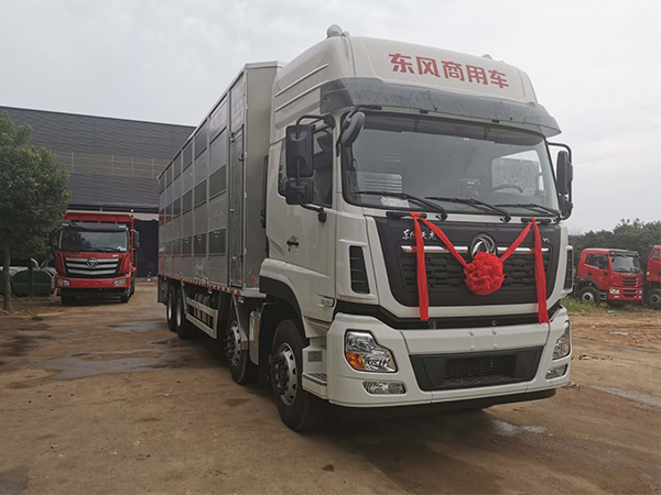 天龍國五9.6米畜禽運輸車(chē)